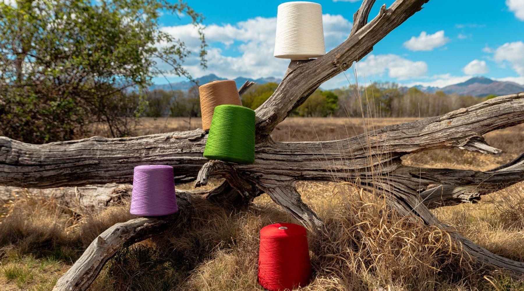Merino Wool